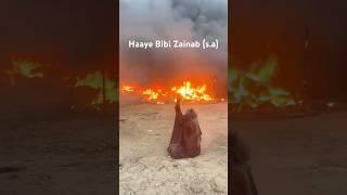 Haye Bibi Zainab (SA) #bibi #zainab #karbala