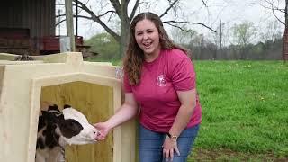 Big Sandy Creek Farm Tour