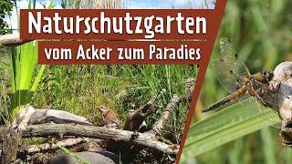 Natur in den Garten holen | MDR Garten