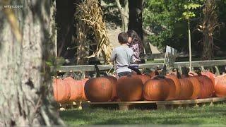 Fall fun in Northeast Ohio: 3 things to do this weekend