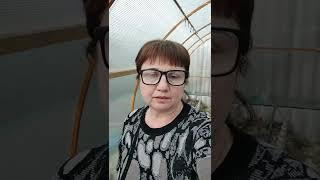 Чтобы ничего не пропустить и не забыть в теплице.