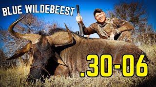 .30-06 vs Wildebeest [DROPPED with Perfect Shot Placement] - Big Game Hunting Adventures