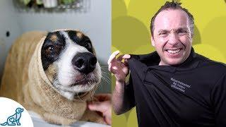 Simple Hacks To Bath Your Dog - Professional Dog Training Tips