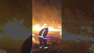 Через людей була пожежа на Камінь-Каширщині