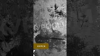 Курск атаковали неизвестные дроны. В городе слышали до 10 взрывов.