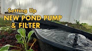 Setting Up NEW Pond Pump & Filter!