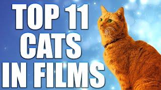 Top 11 Performances by Cats in Films