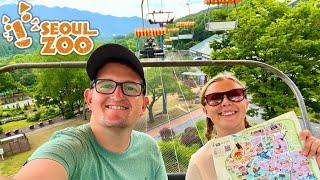 Visiting Seoul Zoo! FULL Tour & Awesome Chairlift In South Korea!