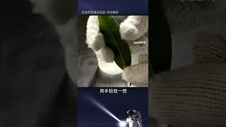 零下196℃的液氮，威力到底有多大？#科普   #趣味实验