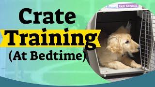 How to Crate Train A Puppy At Night - Crate training for puppies