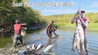 Amazing Best Fun Fish Catching Video Ever (Beze Hunting)