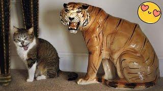 Funniest / Cutest Animals 2025  That Had Me ROFL!  PART 100