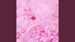 Pink Harmony Haven