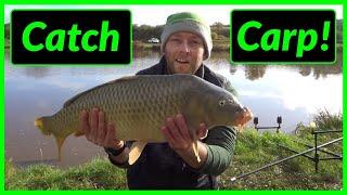 Carp Fishing for Beginners (How to Start Carp Fishing)