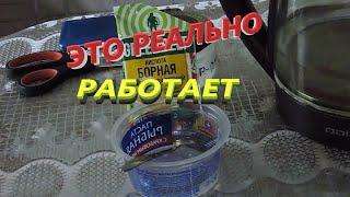 Как избавиться от муравьев.Борная кислота от муравьев-реально работает!