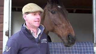 Jamie Snowden Cheltenham Festival Stable Tour