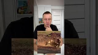Тогда я Лев  #comedy #funny #ржака #юмор #семья #смешноевидео #жиза #муж