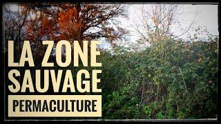 Avenir Permaculture - La zone sauvage