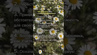 Как привнести йогу в свою жизнь ‍️ #йогадляначинающих #йогакаждыйдень