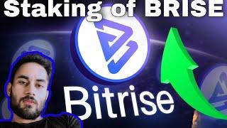 Bitgert [ BRISE ] staking ? #bitgert #brise @katochnitin