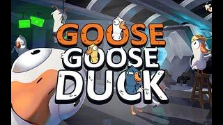 СТРИМ ПО Goose Goose Duck мы опять Гуси ....КРЯ //Залетай//ПИАР,ОЦЕНКА