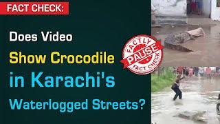 FACT CHECK: Does Video Show Crocodile in Karachi's Waterlogged Streets? | Factly