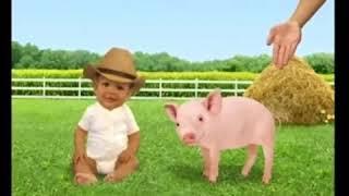 Go, Baby! Farm! Full Episode