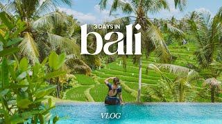 3 days in bali vlog | culinary trip, private villa in ubud, sunrise in kintamani, uluwatu, canggu