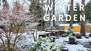 Momiji-en: Winter Garden Walk
