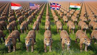 Jaguar Population by Country 2024