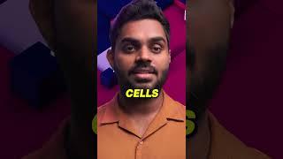 What Happens to Brain Cells in Cryopreservation? #tomorrowbio #scienceshorts #cryonics