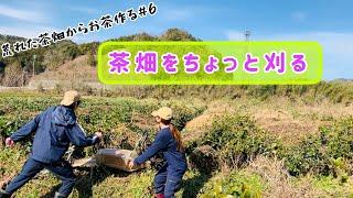 【農業女子】【日本茶】荒れた茶畑からお茶作る#6【田舎移住】