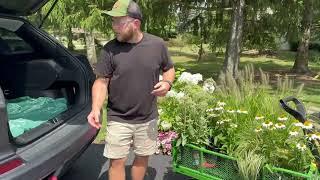 Planting Late Summer Pots