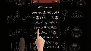 Let's Listen Learn Surah Tt-teen with Finger Tracking #surahteen #quran #duet