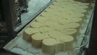 Fresh Dumpling Wrappers Production Line Machine from Solatek.com.cn