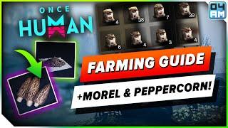 Once Human ESSENTIAL Farming Guide & RARE Morel Seed & Peppercorn Seed Locations!