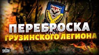 Переброска "Грузинского легиона" в Тбилиси: власти испугались не на шутку, силовики озверели