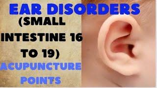 EAR DISORDERS (SMALL INTESTINE 16 TO 19) ACUPUNCTURE POINT'S