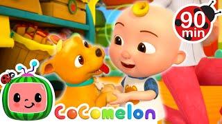 Don't Be Shy Baby J.J.  | CoComelon | Nursery Rhymes for Babies