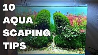 TOP 10 AQUASCAPING TIPS FOR BEGINNERS (in order of importance)