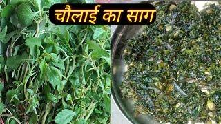 चौलाई का साग बनाने का परफेक्ट तरीका/chalai ka saag banane ka perfect tarika /chalai ka saag recipe,