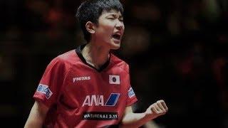 Tomokazu Harimoto - Japanese Wonderkid (Close To The Table Attacker)