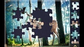 Magic Jigsaw Puzzles - Free Game / Gameplay level 6