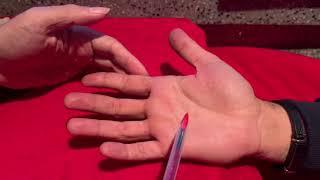 Palmistry lesson with The Fortune Teller -  Paris Debono  ( English and some Turkish translation )