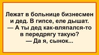 Самые смешные анекдоты! Отличная Подборка Веселых Анекдотов Весна! Позитив! Юмор! Смех!