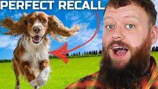 HOW TO TEACH PERFECT RECALL! STOP YOUR DOG IGNORING YOU OFF LEASH