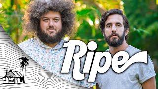 Ripe - First Time Feeling (Live Music) | Sugarshack Sessions