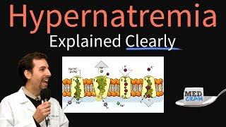 Hypernatremia Explained Clearly - Pathophysiology & Treatment