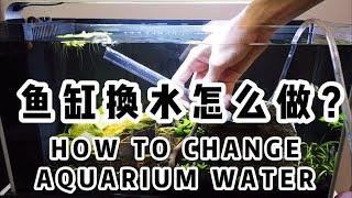 鱼缸如何换水？｜How To Do Aquarium Water Change