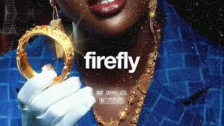 (FREE) | "Firefly" | B Young ft Rema & Omah Lay Type Beat | Free Beat | Afrobeat Instrumental 2024